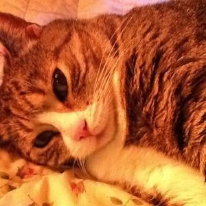 Meet your Posher, Soon ok